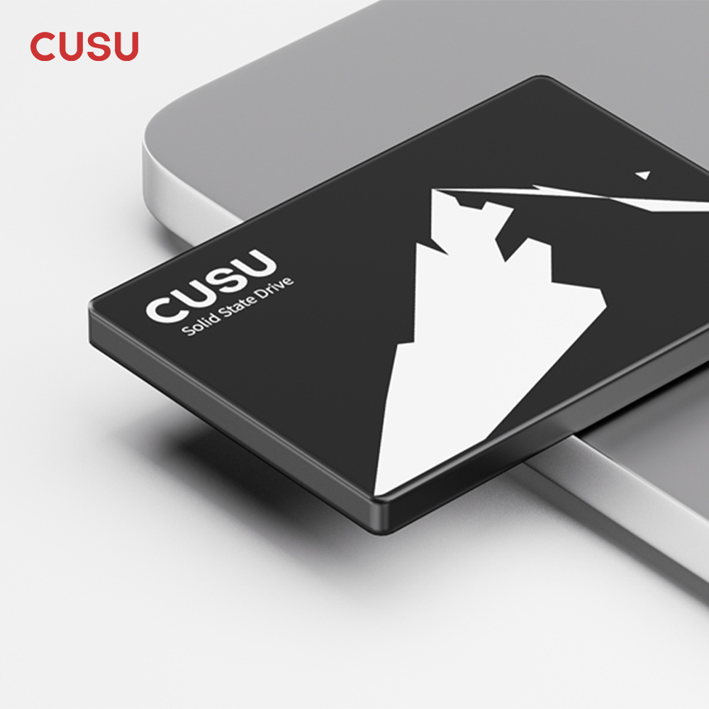 CUSU SSD 1TB 512GB 256GB 128GB - Ssd 500Gb 리뷰 및 가격